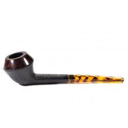 Pipa Nuttens Heritage H1 Rhodesian 2024