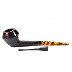 Pipa Nuttens Heritage H1 Rhodesian 2024