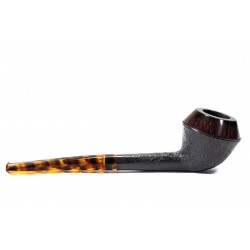 Pipa Nuttens Heritage H1 Rhodesian 2024
