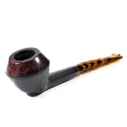 Pipa Nuttens Heritage H1 Rhodesian 2024