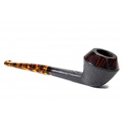 Pipa Nuttens Heritage H1 Rhodesian 2024