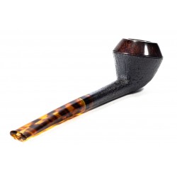 Pipa Nuttens Heritage H1 Rhodesian 2024