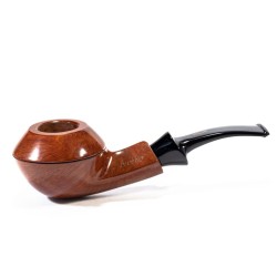 Pipa Brebbia Party Selected  Bent Rhodesian