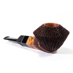 Pipa Amorelli Penna di San Michele Rhodesian