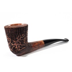 Pipa Amorelli Penna di San Michele Dublin