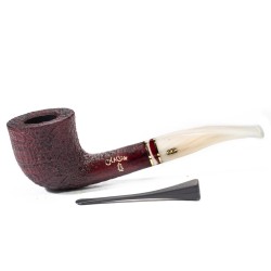 Pipa Chacom Noël 2025 F4 Bent Dublin