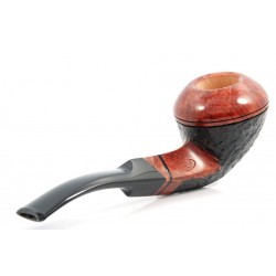Pascucci Pascucci