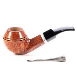 Pipa Giovannozzi La Première Plus Bent Rhodesian