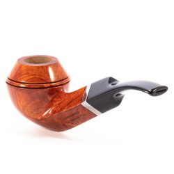 Pipa Giovannozzi La Première Plus Bent Rhodesian