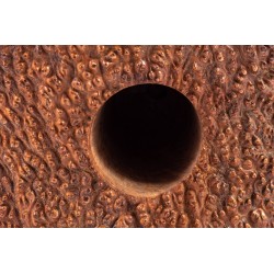 Baldo Baldi Gr.1 Liscia