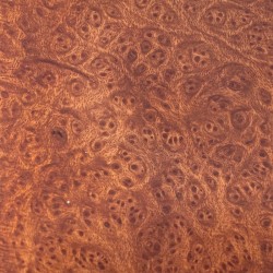 Baldo Baldi Gr.1 Liscia